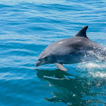 아파트 Luxury Wstunning Sea Views, Walk 알부페이라